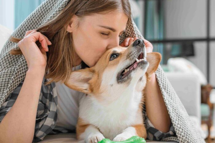 Disminuir estrés con mascotas