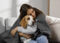 Importancia de las mascotas en la salud mental