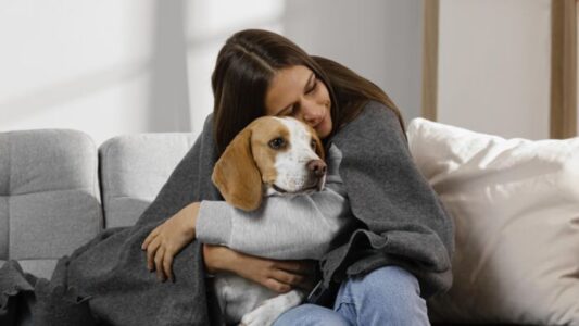 ¿Cómo ayudan las mascotas con la salud mental?