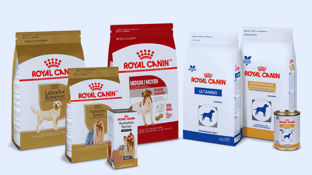 Cómo solicitar muestras gratis de Royal Canin para tu mascota
