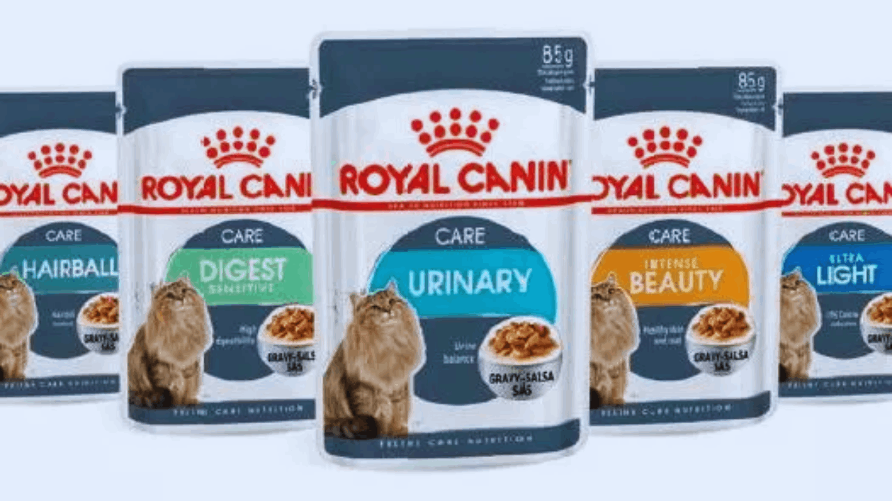 Cómo solicitar muestras gratis de Royal Canin para tu mascota