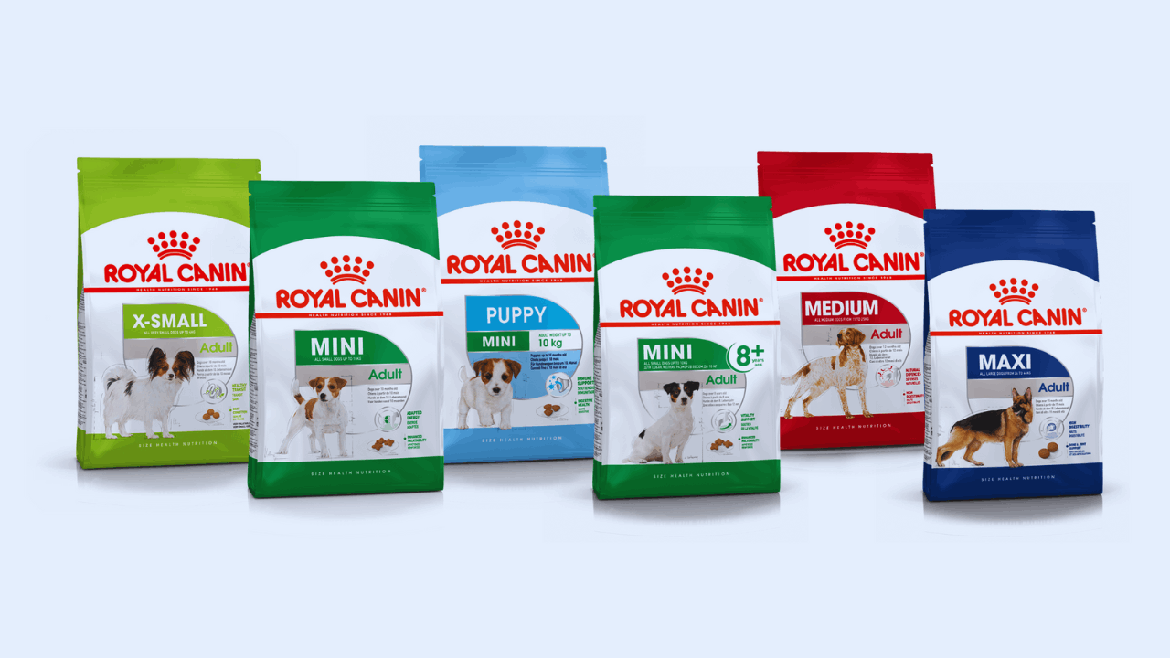 Cómo solicitar muestras gratis de Royal Canin para tu mascota