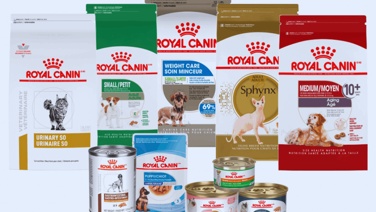 Cómo solicitar muestras gratis de Royal Canin para tu mascota